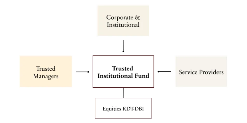Comprehensive diagram showing the complete structure and ecosystem of Trusted Institutional Fund and its stakeholders